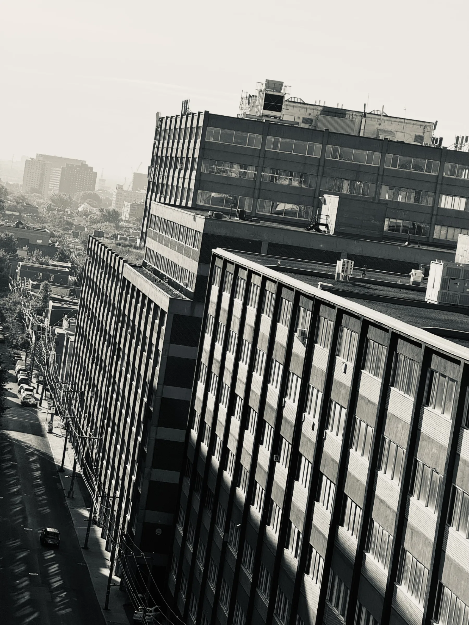 钉钉豆蔻医生助理